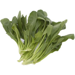 UNIPRO PERELLO Choi Sam