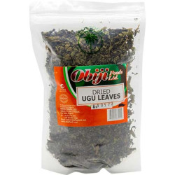 OBIJ Feuilles de Citrouille Ugu