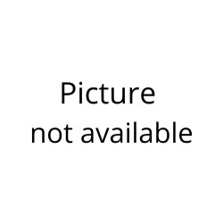 CASS Bière 4,5% Alc. - Plato 10,5